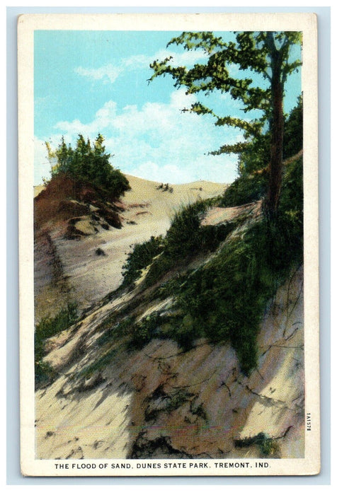 The Flood Of Sand Dunes State Park Tremont Indiana IN Unposted Vintage Postcard