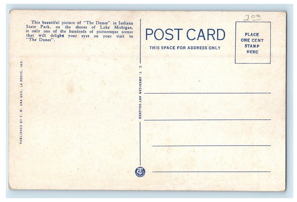 The Flood Of Sand Dunes State Park Tremont Indiana IN Unposted Vintage Postcard