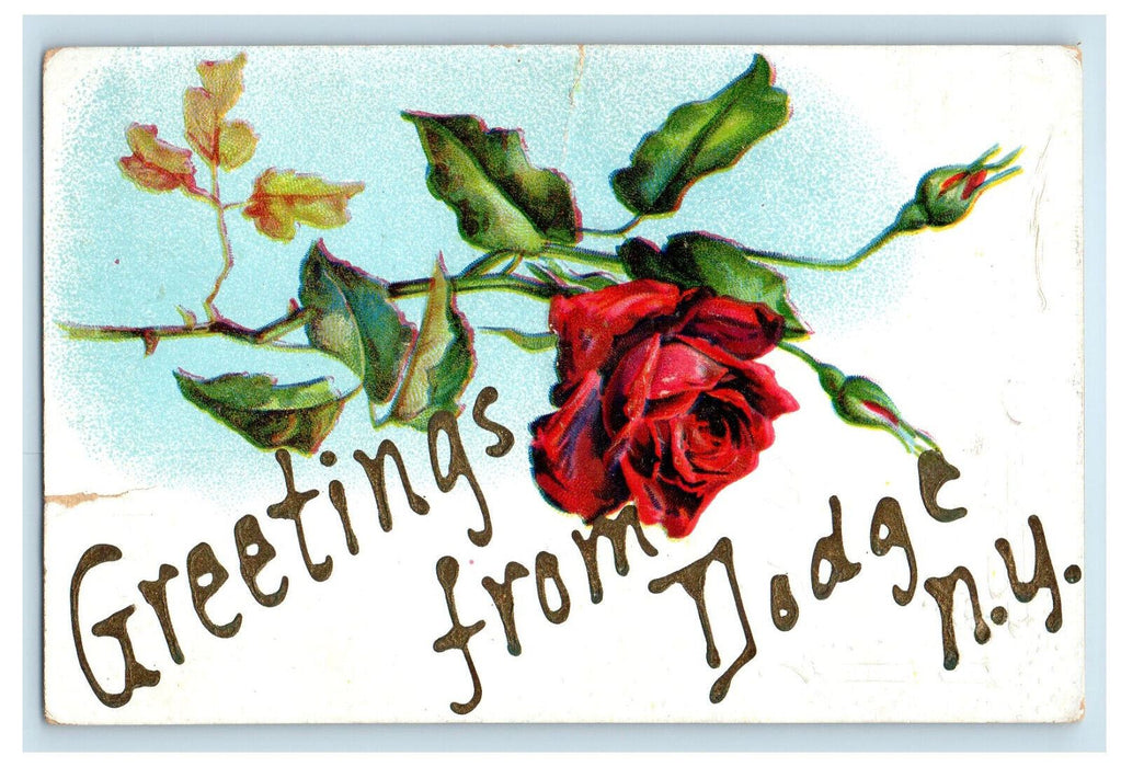 1908 Rose Flower, Greetings from Dodge NY Akeley PA Posted Postcard
