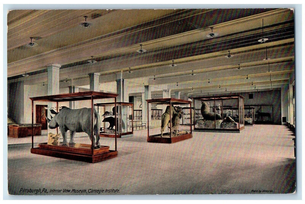 c1910 Interior Animal View Museum Carnegie Institute, Pittsburgh PA Postcard