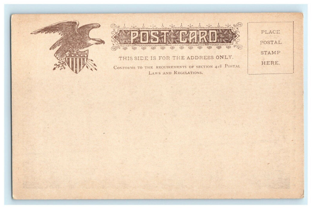 c1905 Lower New York From East River Bridge New York City NY Steamboat Postcard