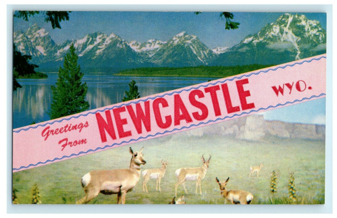c1960's Greetings From Newcastle Deer Wyoming WY Unposted Vintage Postcard