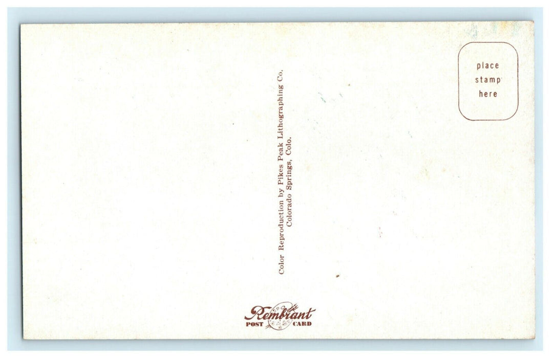 c1960's Greetings From Newcastle Deer Wyoming WY Unposted Vintage Postcard