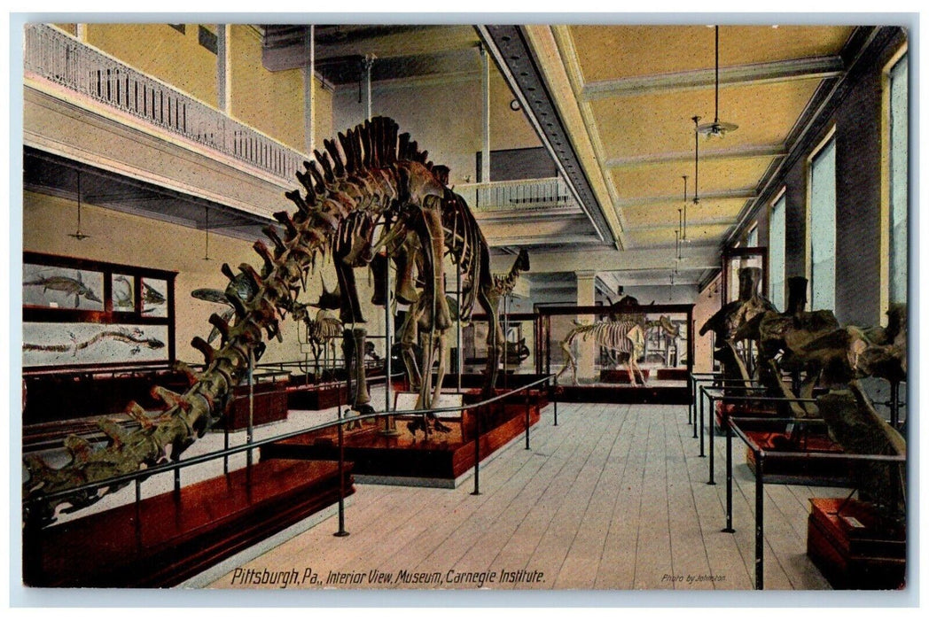 c1910 Interior Vertebrate Paleontology Carnegie Institute Pittsburg PA Postcard