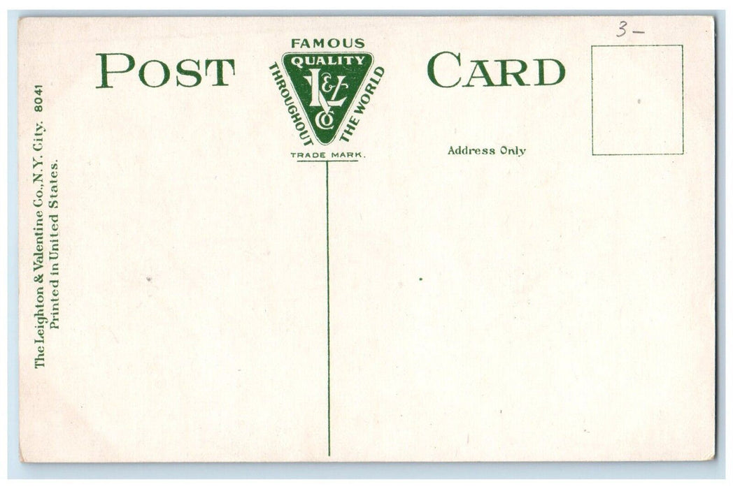 c1910 Interior Vertebrate Paleontology Carnegie Institute Pittsburg PA Postcard