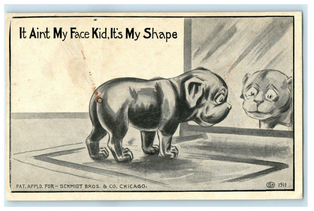 1911 Cute Puppy Looking in Mirror Comic Humor Funny Postcard