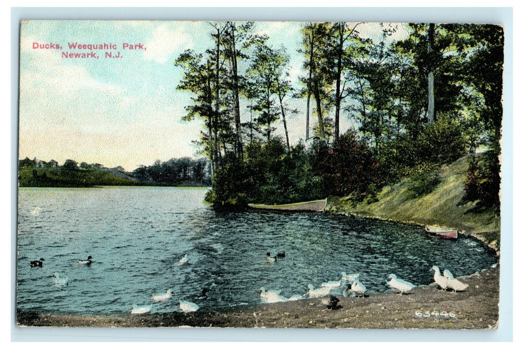 1912 Ducks Weequahic Park Newark New Jersey NJ Newburg New York Antique Postcard