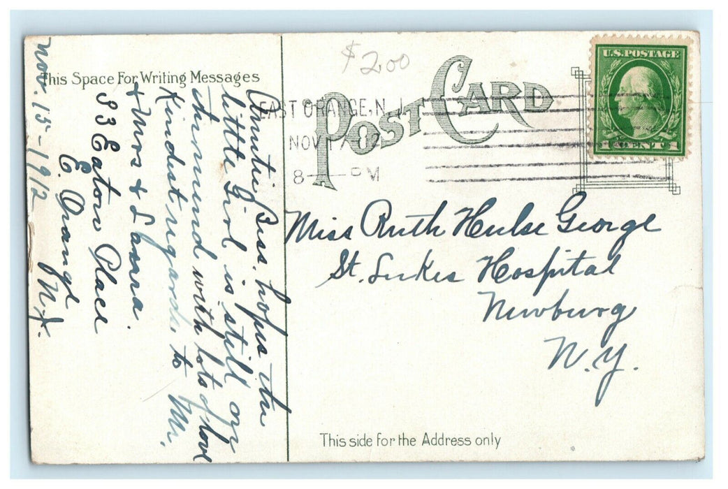 1912 Ducks Weequahic Park Newark New Jersey NJ Newburg New York Antique Postcard