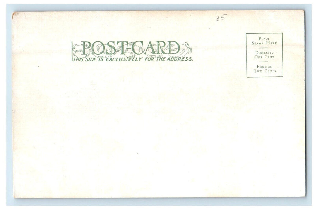 c1905 The United State Mint. Building Denver Colorado CO Antique Postcard