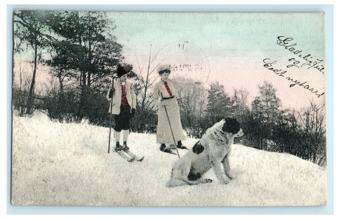 1907 Denmark Couple Skiing Dog Glitter Handpainted Arborvitae Wisconsin Postcard