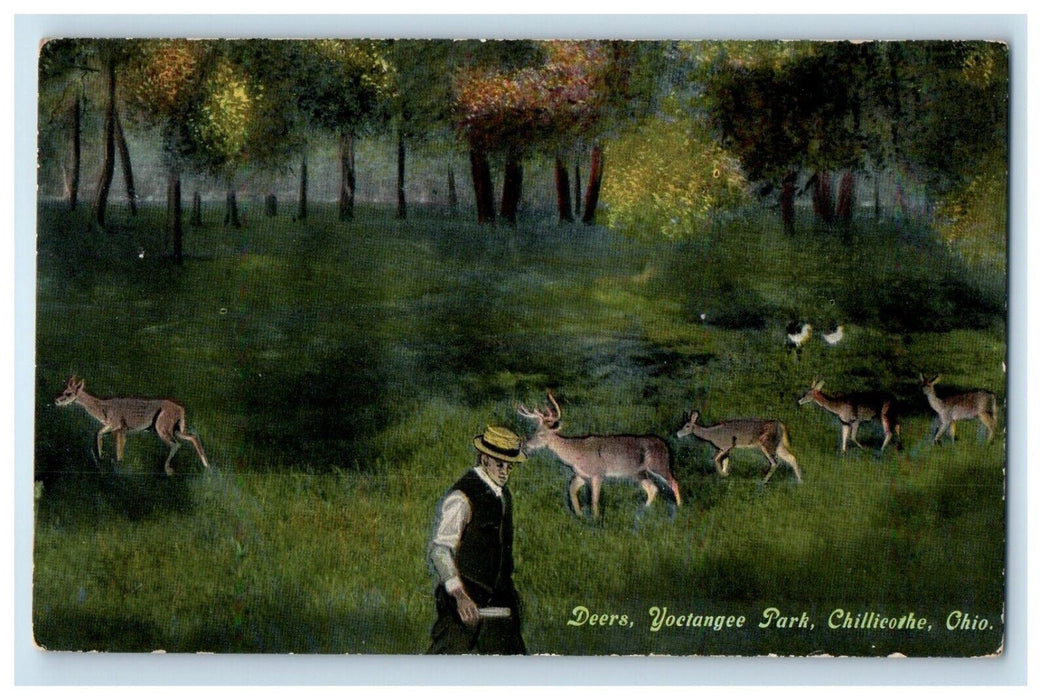 c1910's Deers Yoctangee Park Chillicothe Ohio OH Unposted Antique Postcard