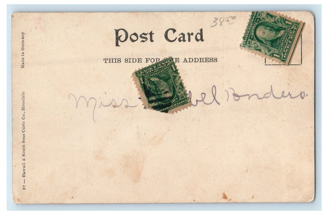 c1905 Haleiwa Hotel Waialua Rustic Bridge River Honolulu Hawaii HI Postcard