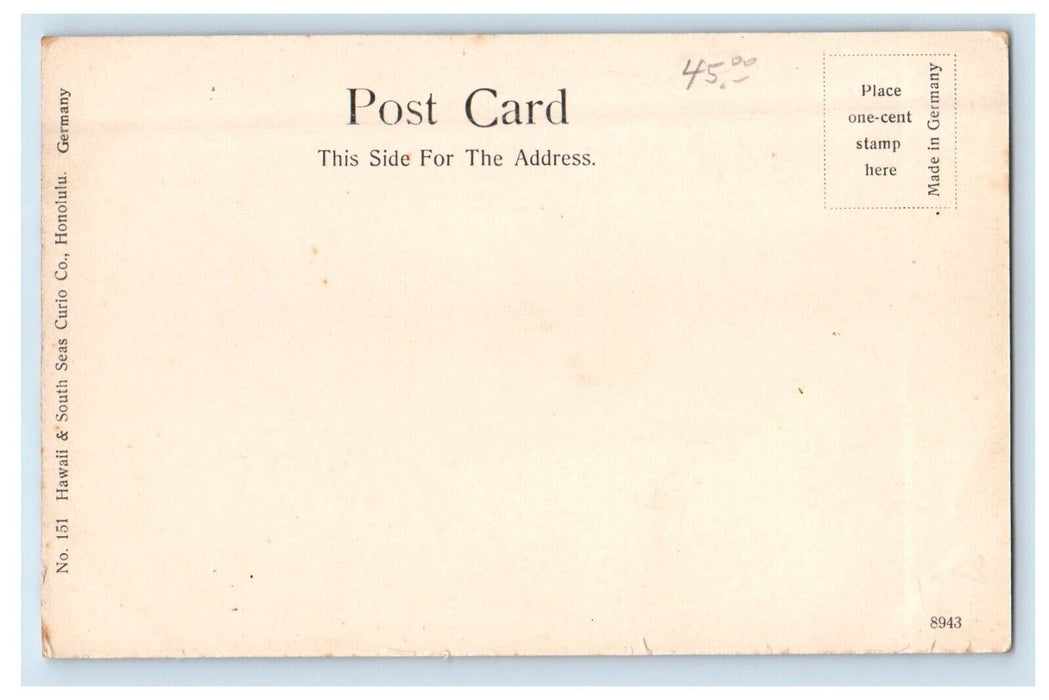 c1905 Greetings Cocoanuts Honolulu Hawaii HI Unposted Antique Postcard