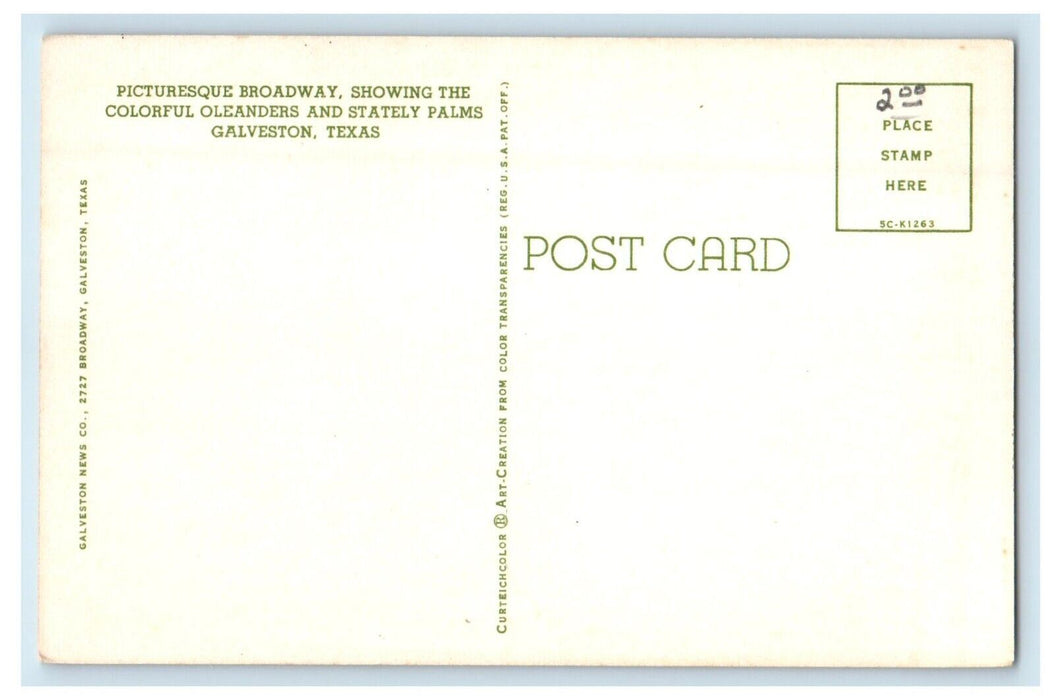 A View Of Picturesque Broadway Road Car Galveston Texas TX Vintage Postcard