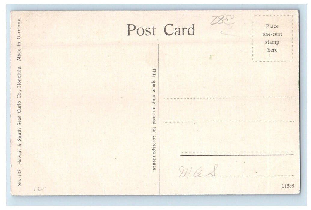 View Of Tropic Jungle On Hawaii Near Honolulu HI Unposted Antique Postcard