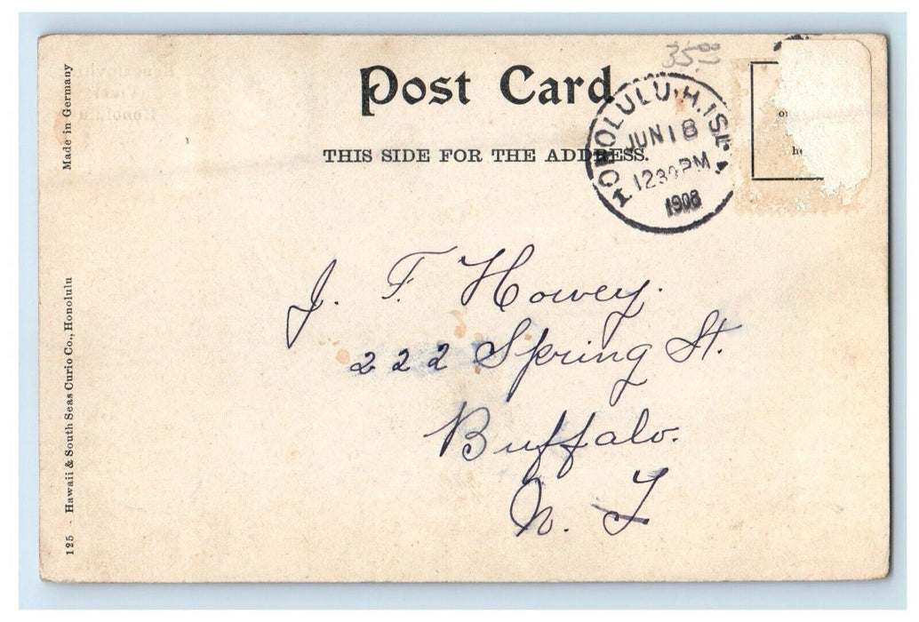 1908 Bougainvillea Vine Aloha Nui Honolulu Hawaii HI Posted Antique Postcard