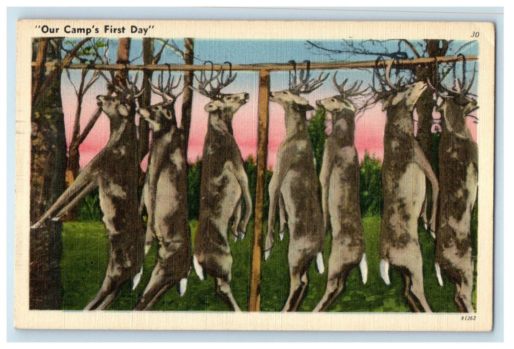 1955 Deer Caught, Our Camp's First Day Antique Posted Postcard
