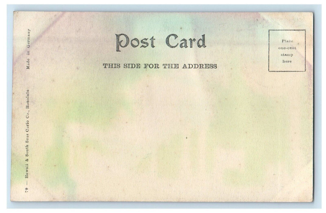 c1905 View Of Nuuanu Avenue Dirt Rock Honolulu Hawaii HI Antique Postcard