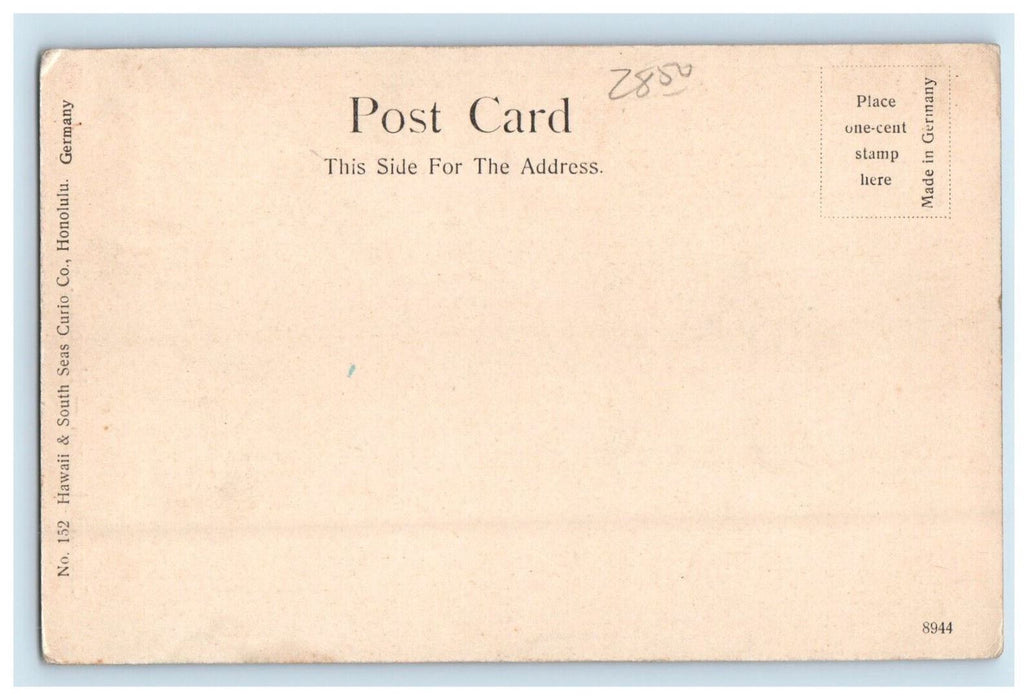 c1905 Cocoanut Lagoon Aloha Nui Honolulu Hawaii HI Unposted Antique Postcard