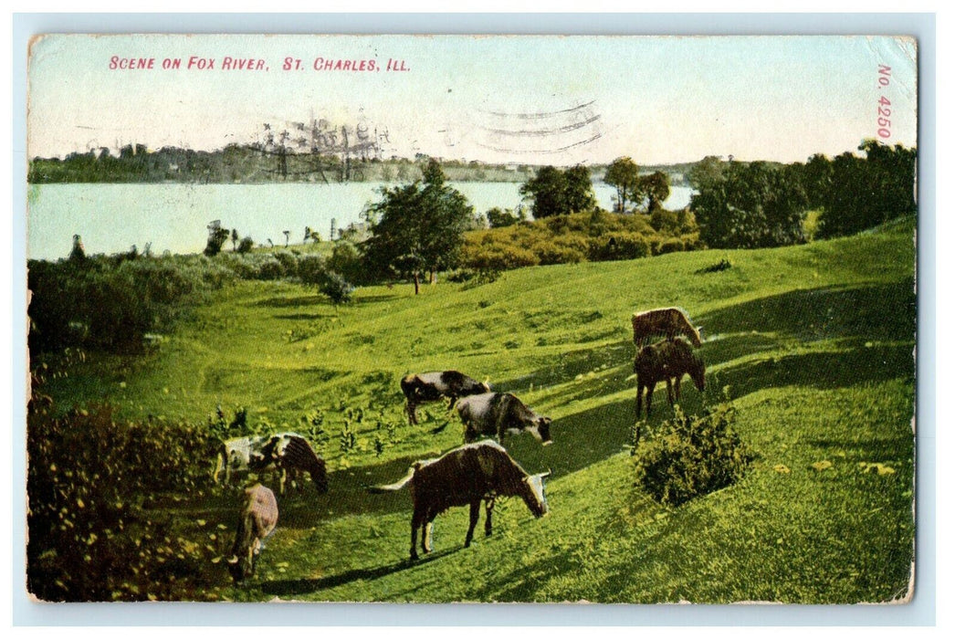 1909 Scene On Fox River St. Charles Illinois IL Posted Antique Postcard