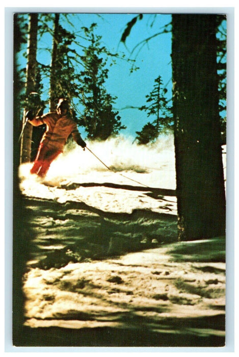 c1960’s Skiing Taos Ski Valley New Mexico NM Unposted Vintage Postcard