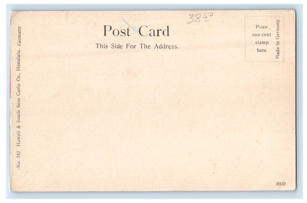 c1905 Caribou Water Buffalo Honolulu Hawaii HI, Aloha Nui Animals Postcard