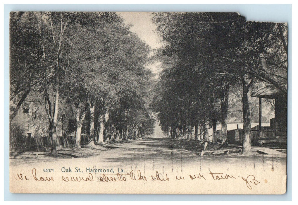 1907 Oak St. Hammond Louisiana LA Posted Antique Rotograph Postcard