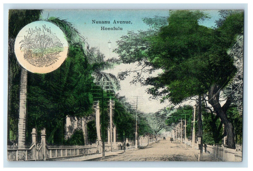c1905 Dirt Road Street View Of Nuuanu Avenue Honolulu Hawaii HI Antique Postcard