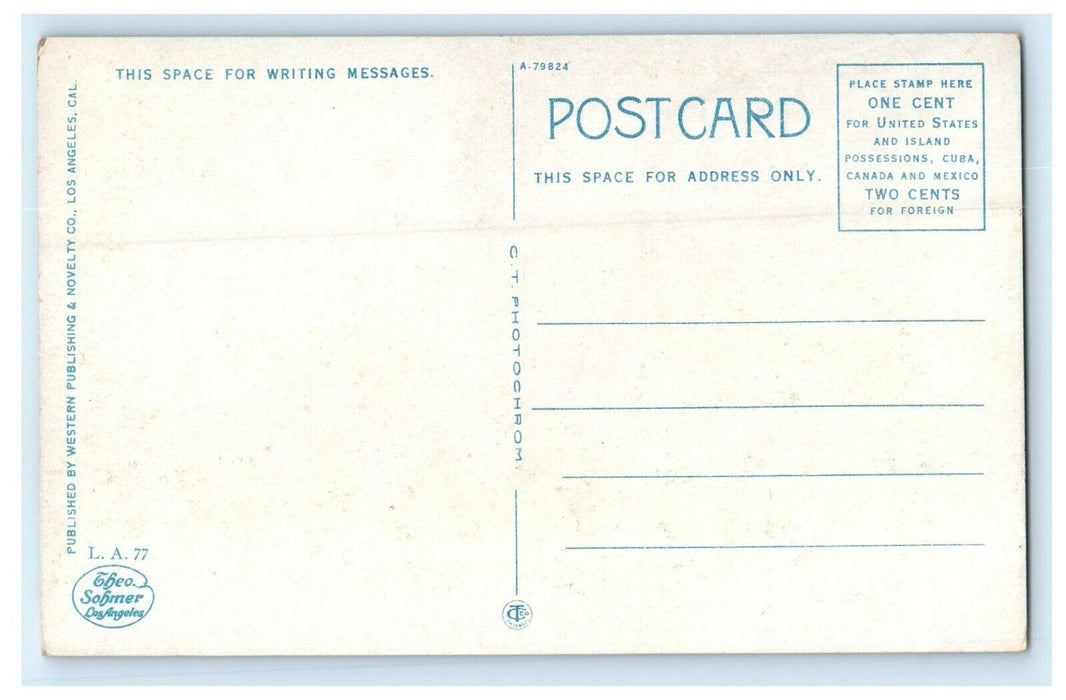 c1920's Lincoln High School, Los Angeles California CA Unposted Postcard