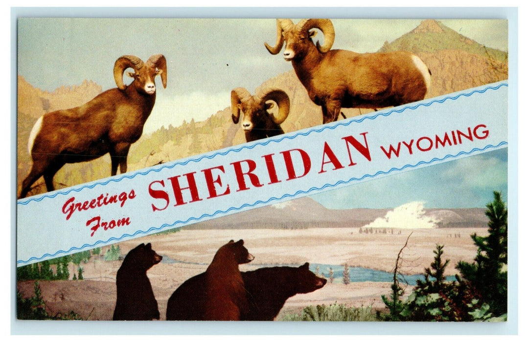 c1960's Greetings From Sheridan Wyoming WY Rams Bears Unposted Vintage Postcard