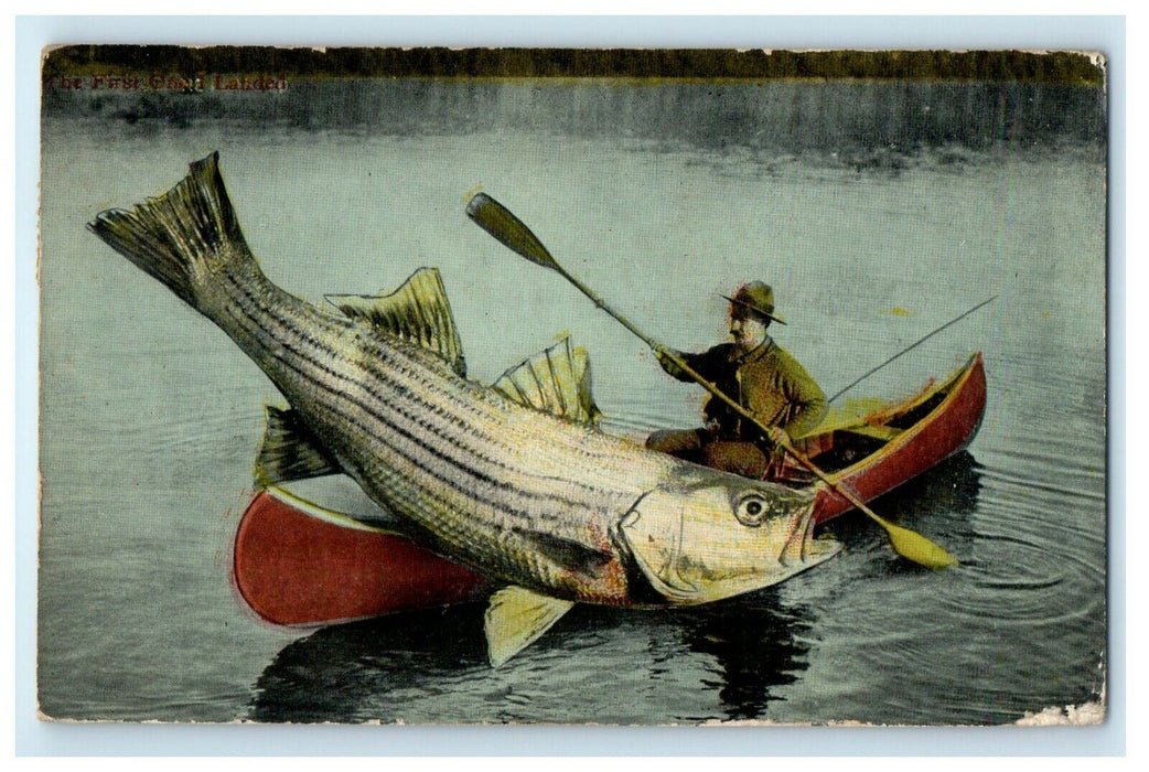 1913 Man Caught Exaggerated Fish, Wapping Connecticut CT Antique Postcard