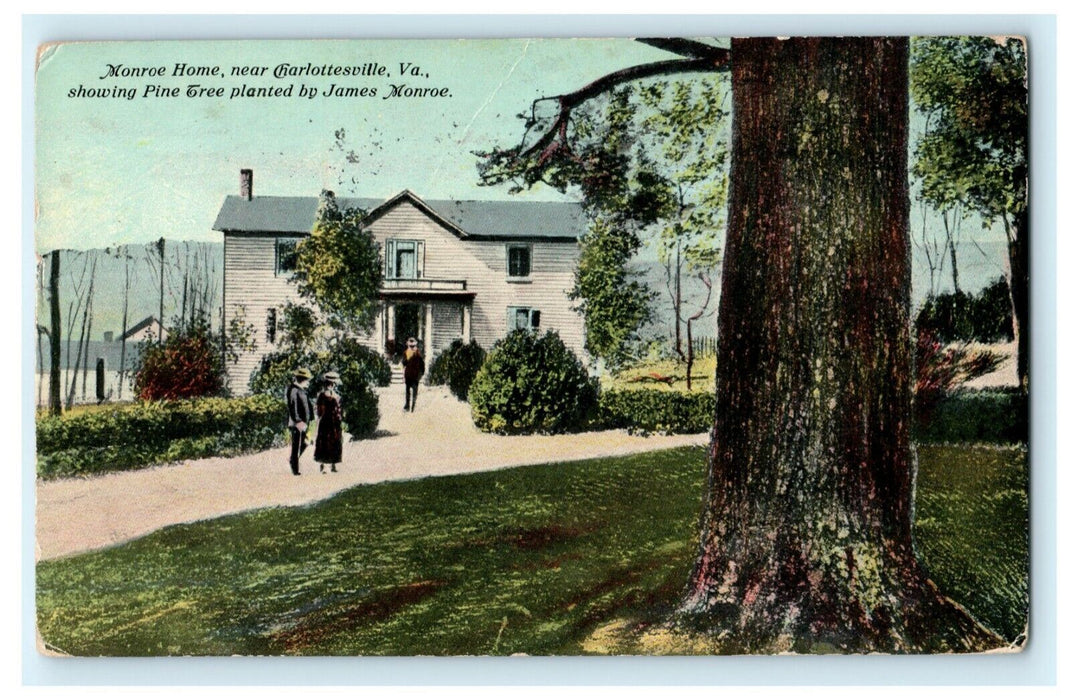 Monroe Home Charlottesville Virginia Pine Tree James Monroe 1911 Postcard