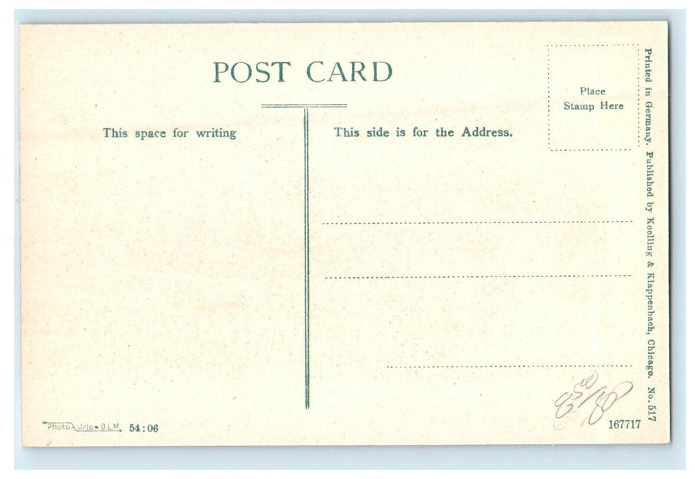 c1910's Tennis Grounds Jackson Park Chicago Illinois IL Antique Postcard