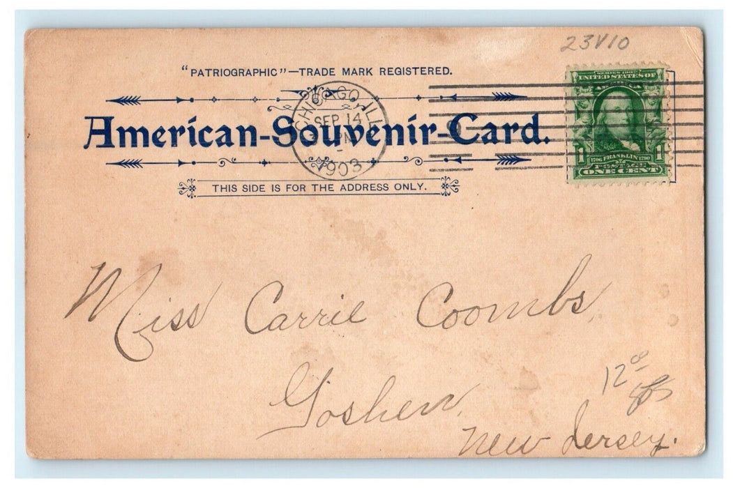 1903 View Of Lincoln Park Statue Art Institute Michigan Ave. Chicago IL Postcard