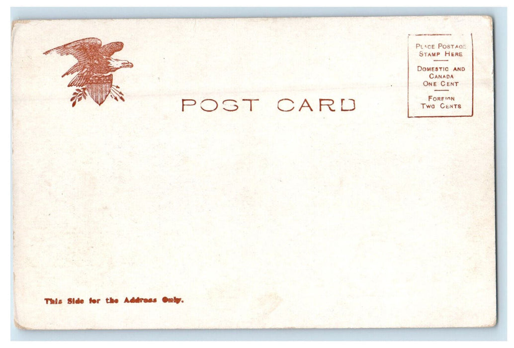 c1905 Mineral Palace Pueblo, Colorado CO Unposted Antique Postcard