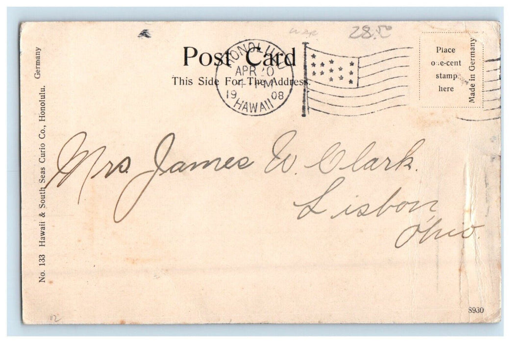 1908 A View Of Tropic Jungle On Hawaii Near Honolulu HI Posted Antique Postcard