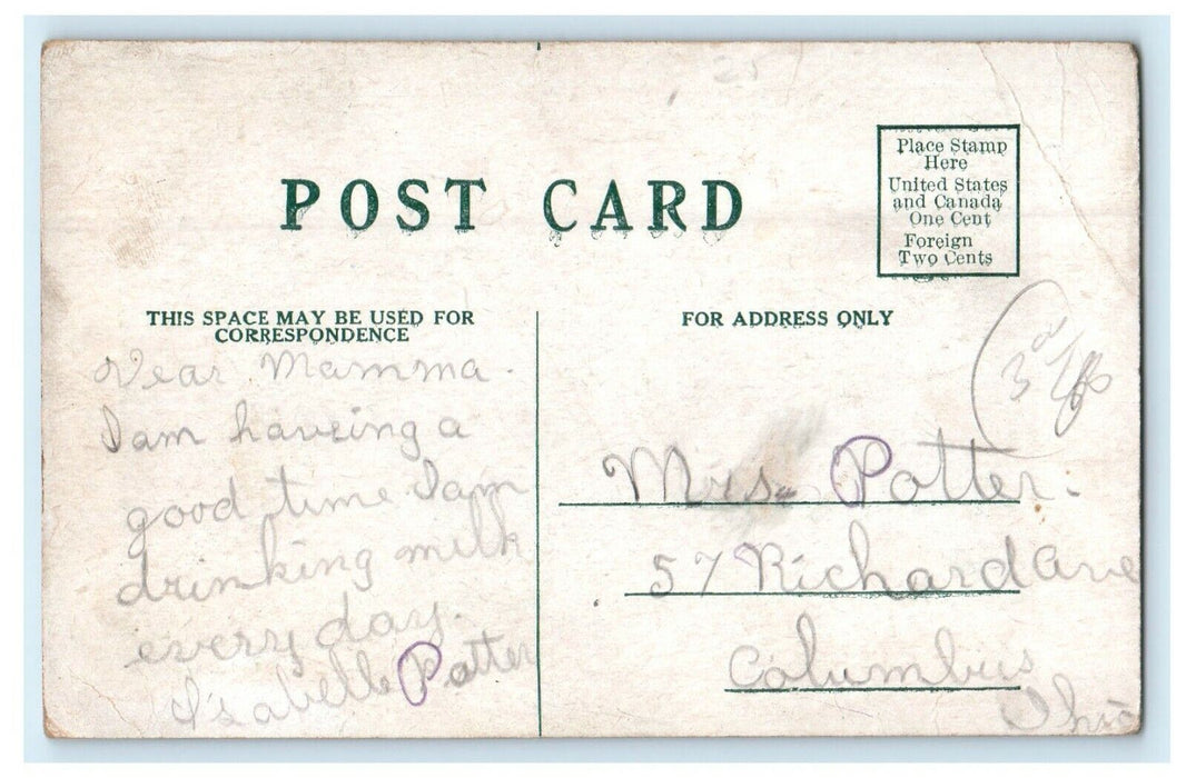 c1910's Residence Of Mrs. Potter Palmer Horse And Buggy Chicago IL Postcard