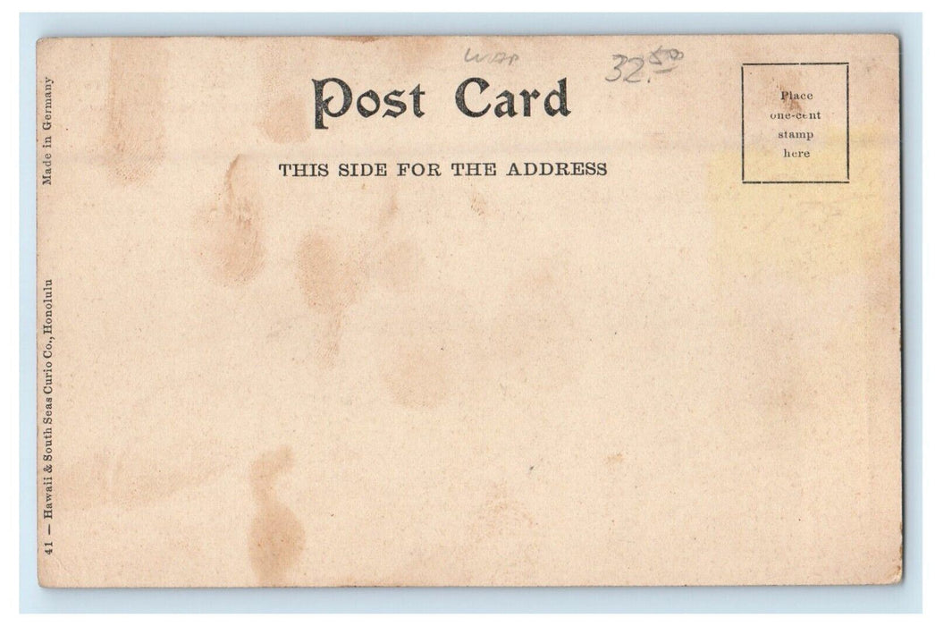 c1905 Diamond Head From Punchbowl Honolulu Hawaii HI Posted Antique Postcard