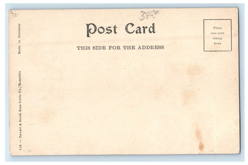 c1905 Devil Fish Aquarium Waikiki Honolulu Hawaii HI Unposted Antique Postcard