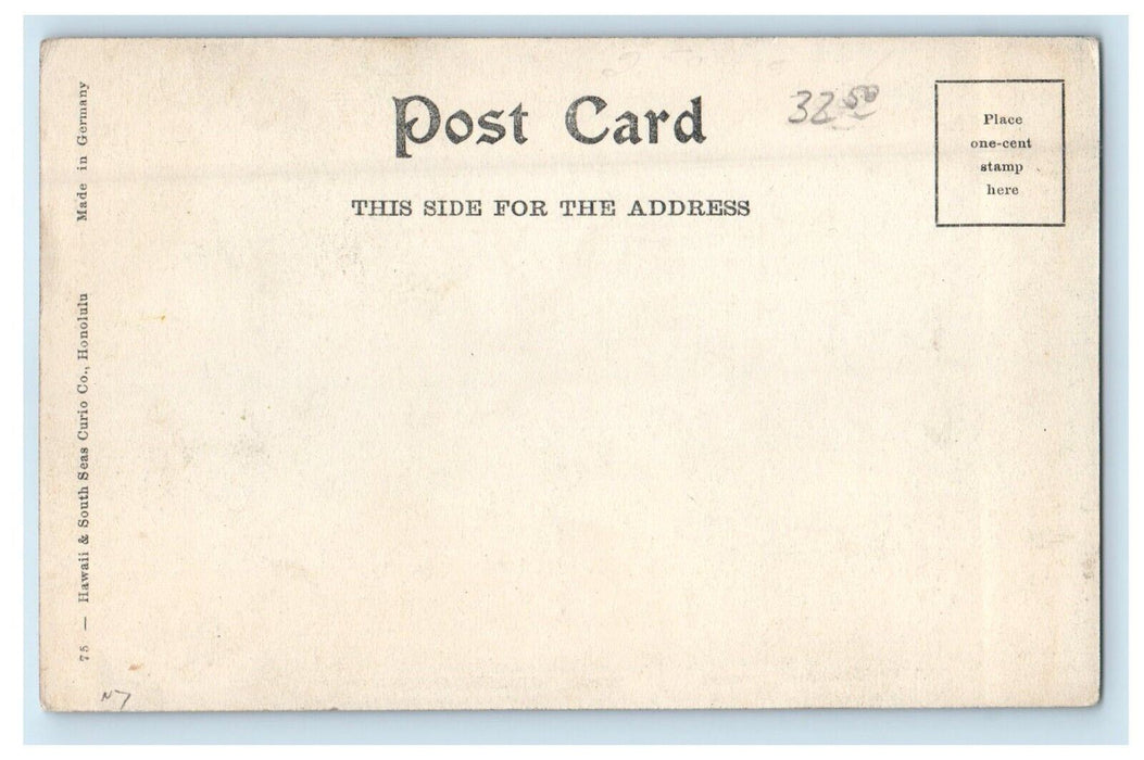 c1905 Royal Palm Avenue Dirt Road Aloha Nui Honolulu Hawaii HI Antique Postcard