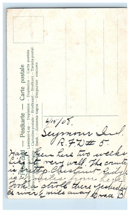 1908 Greetings from Chestnut Ridge Indiana IN Posted Flower & Glitter Postcard