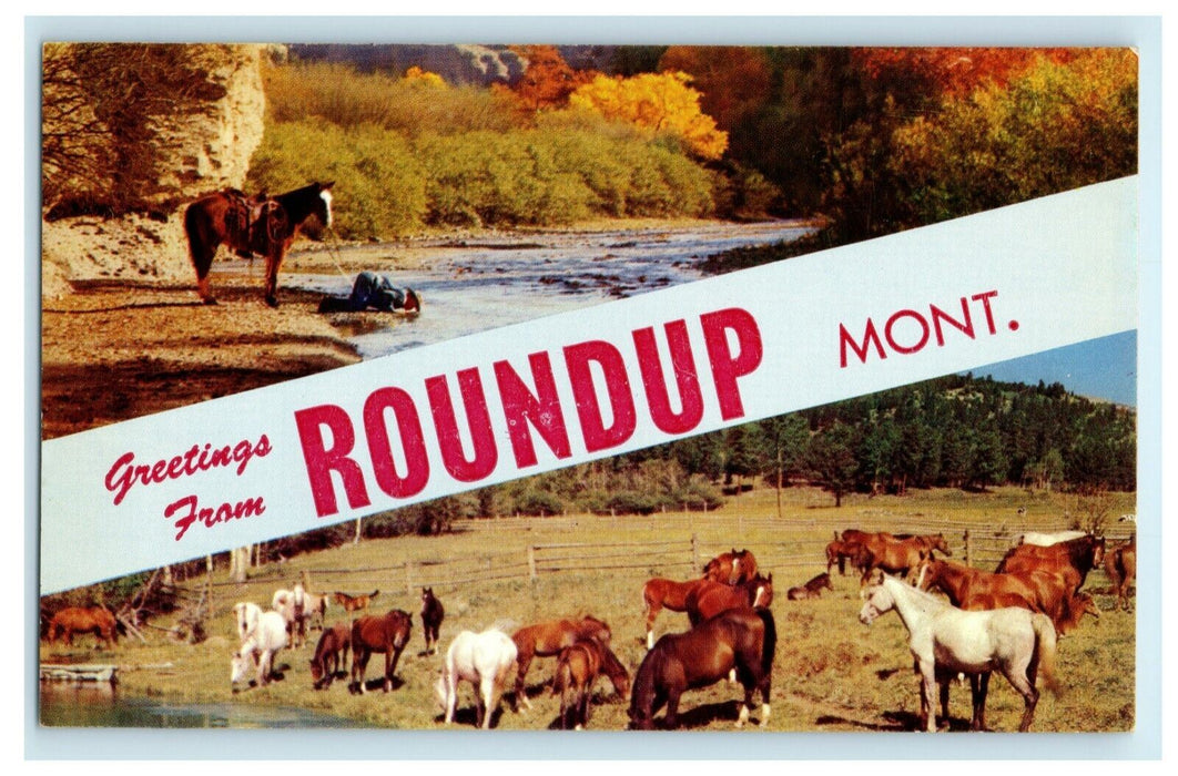 c1940's Greetings From Roundup Montana MT Large Letter Horses Postcard