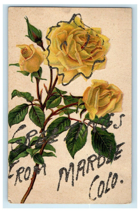 c1910 Greetings From Marble Colorado CO Rose Flowers Glitter Postcard