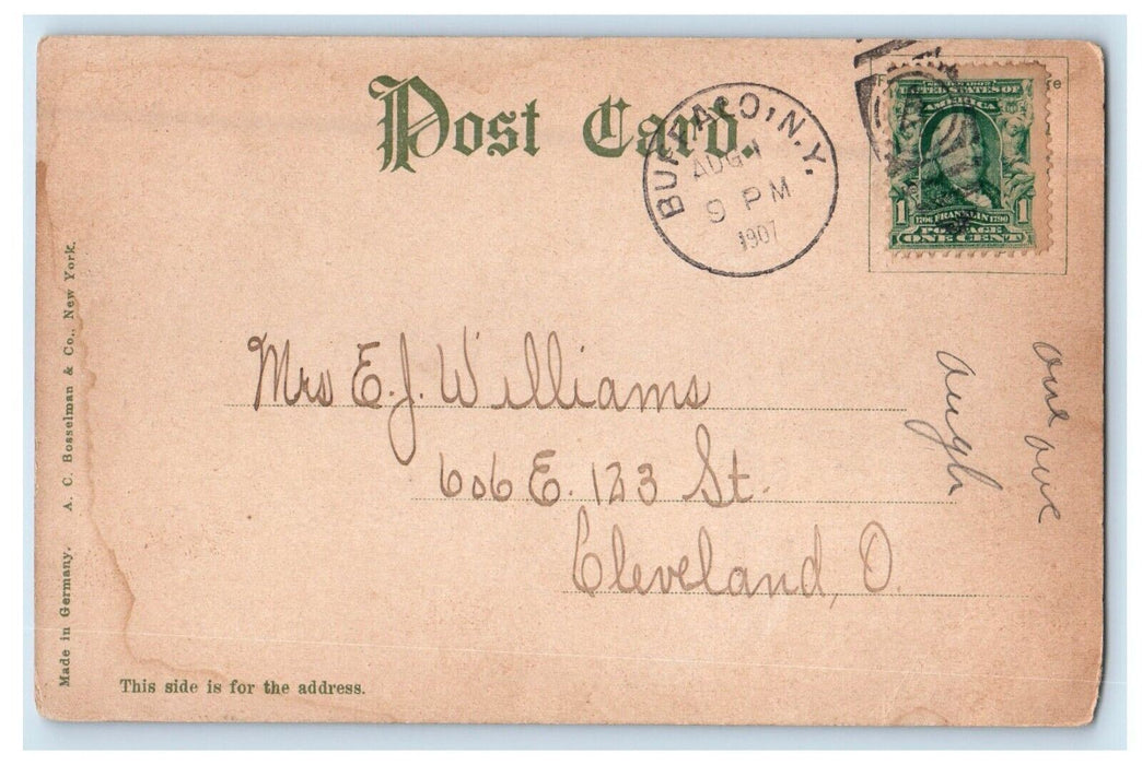 Greetings From Niagara Falls Buffalo NY, White Mans Fancy Red Mans Fact Postcard