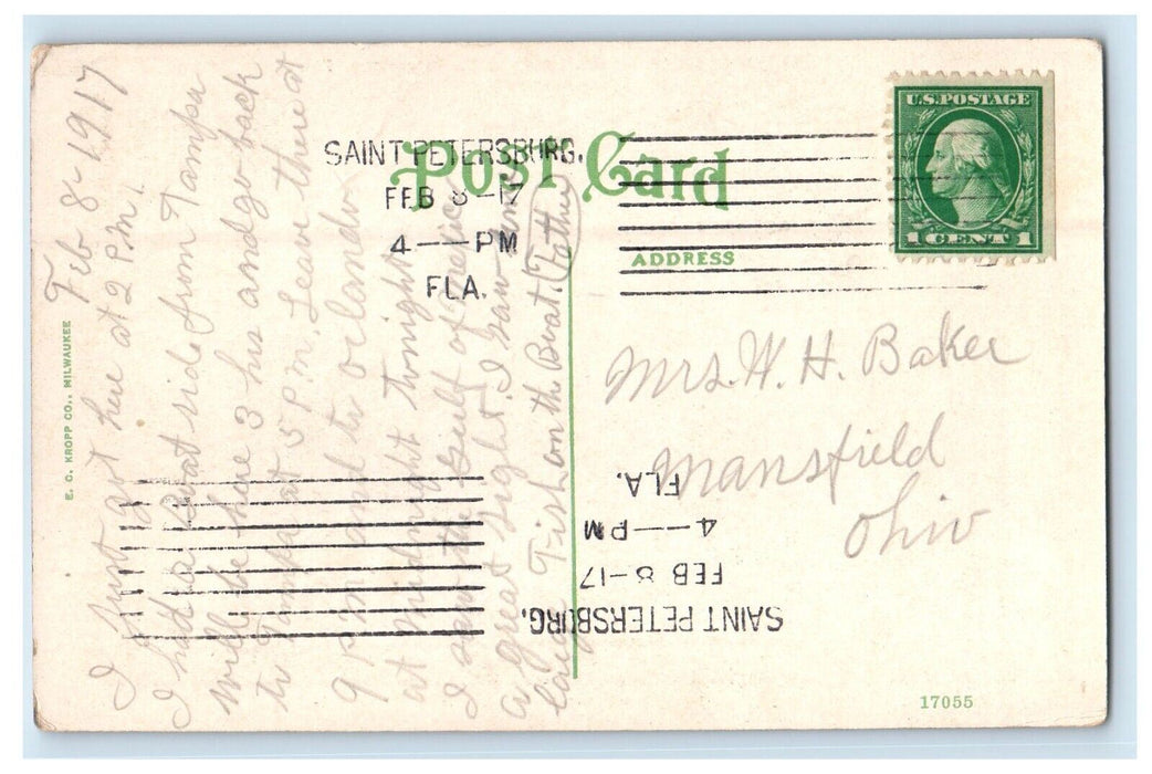 1917 Mid Winter Crowd Central Ave St. Petersburgh Florida FL Antique Postcard
