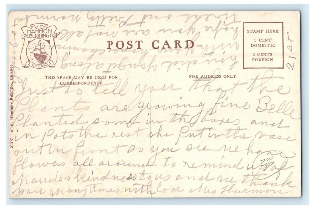 c1910's Entrance To Garfield Park Conservatory Chicago Illinois IL Postcard