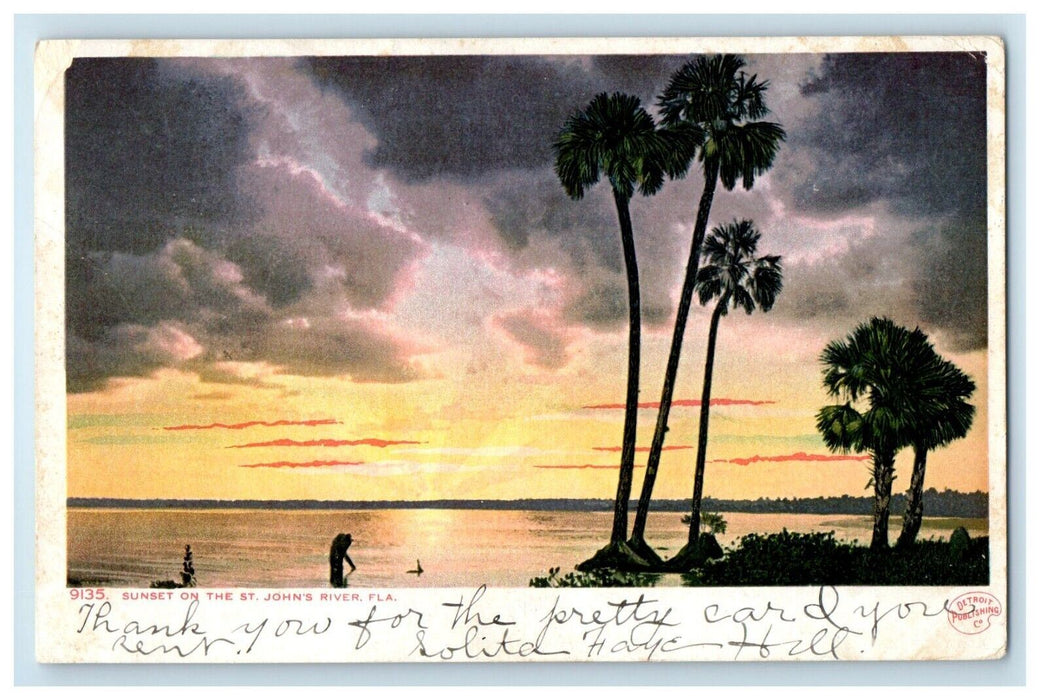 1907 View Of Sunset On The St. John's River Florida FL Posted Antique Postcard