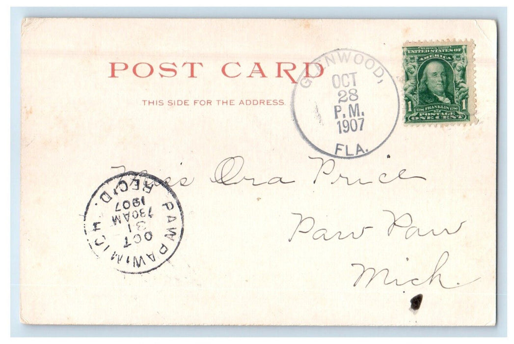 1907 View Of Sunset On The St. John's River Florida FL Posted Antique Postcard