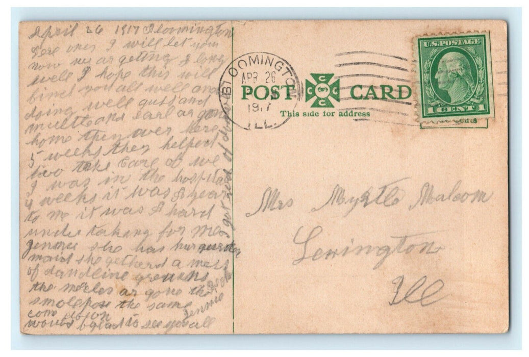 1917 Lake and Bridge Rose Island Glen Oak Park Peoria Illinois IL Postcard