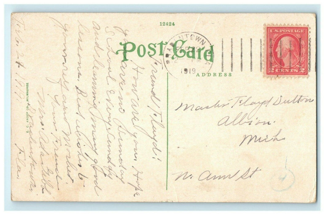 Royal Poinciana Tree in Bloom Florida 1919 Bradentown Postcard